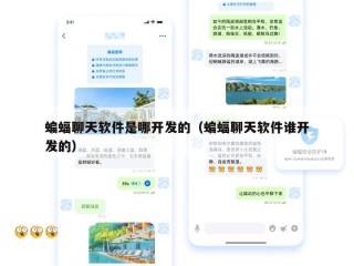 蝙蝠聊天软件是哪开发的（蝙蝠聊天软件谁开发的）